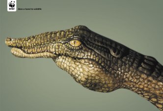 WWF Crocodile - 2006/10